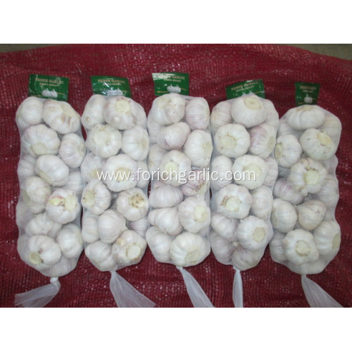 Normal White Garlic Low Price Crop 2020